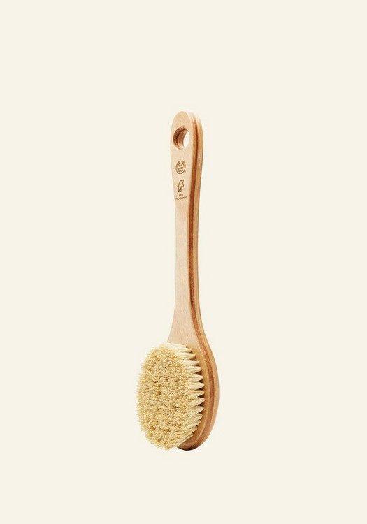 BRUSH CACTUS LONG HANDLE 1 INRSDPS822 product zoom