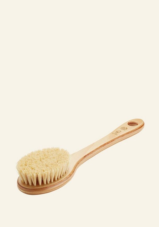 BRUSH CACTUS LONG HANDLE 2 INRSDPS823 product zoom