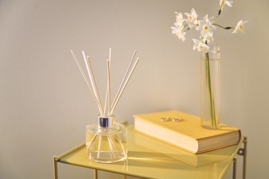 Reed Diffuser