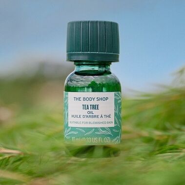 Tea Tree in nature