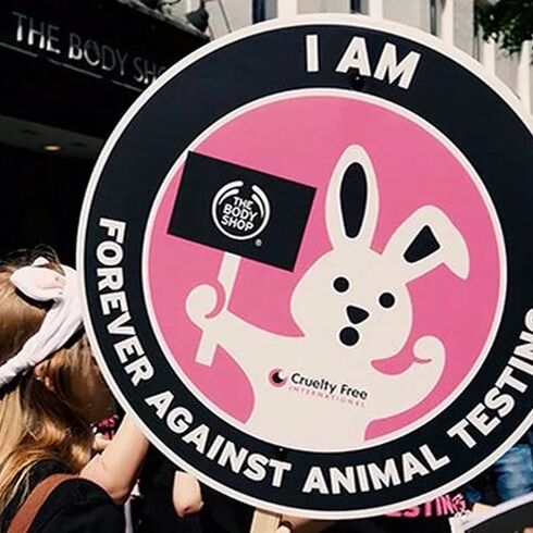Anti animal testing