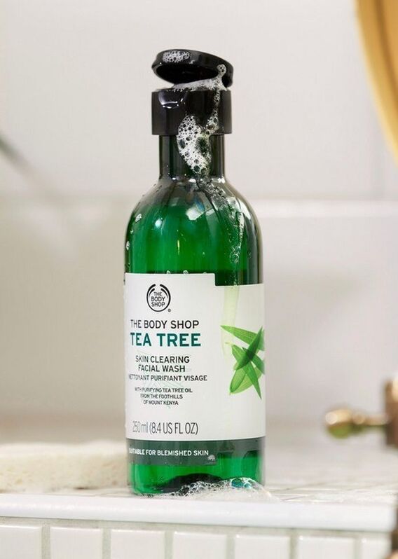 Tea Tree Skin Clearing Facial Wash 250ml