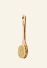 BRUSH CACTUS LONG HANDLE 1 INRSDPS822 product zoom