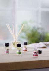 HOME FRAGRANCE OIL 10 ML RANGE 12 INRSAPS777 product zoom