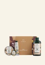 1047267 G3 SMALL SHEA XM25 A0 X BRNZ NW INAJMPS256