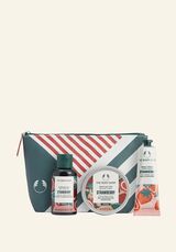 1044911 G2 BAG MINI STRAWBERRY AR25 A0 X Bronze INAIWIM017 NW