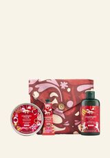 1045119 G3 ESSENTIALS CRANBERRY XM25 A0 X NW INAJMPS282