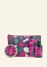 1047309 G2 BAG MINI PLUM XM25 A0 X BRNZ NW INAJMPS279