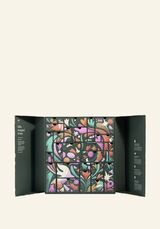 1047320 70804 G4 ADVENT ULTIMATE XM25 A0 X 002 No ending A NW INAJSPS018