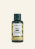 Ginger Anti dandruff Shampoo 60 ML A0 X BRONZE NW INADCPS090