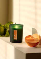 Candle Boost Scent
